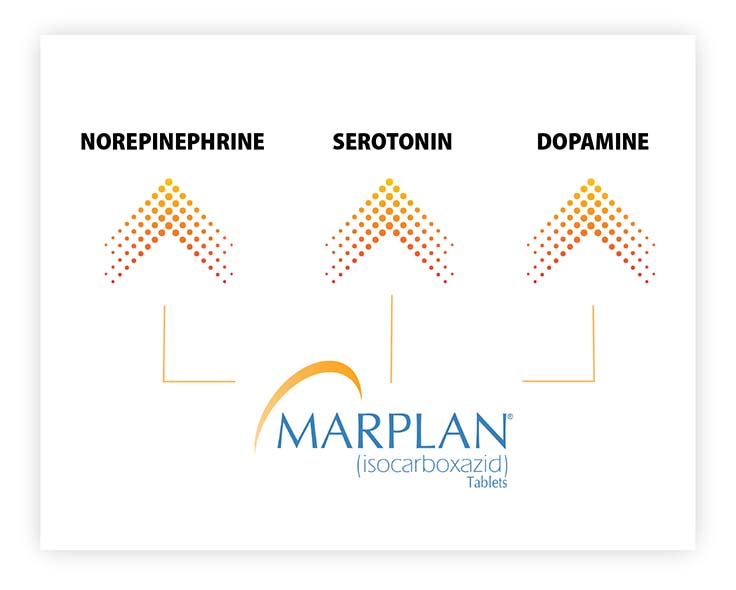 3-Mood Lifting Neurotransmitters (Norepinephrine, Serotonin,  Dopamine) that Marplan® (isocarboxazid) Targets 